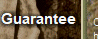 springfield-armory-xds-web_site005006.gif