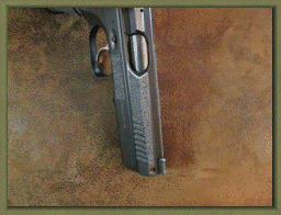 CZ Shadow 2 with Grip Enhancements