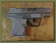 Ruger LCP II .380 ACP