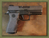 sig_p238_web_site009002.gif