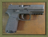 sig_p238_web_site010003.gif