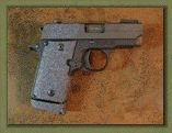 sig_p238_web_site010007.gif