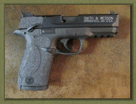 Smith and Wesson M and P 22 Long Rifle Compact